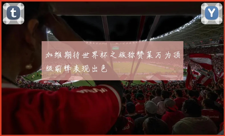 加维期待世界杯之旅称赞莱万为顶级前锋表现出色