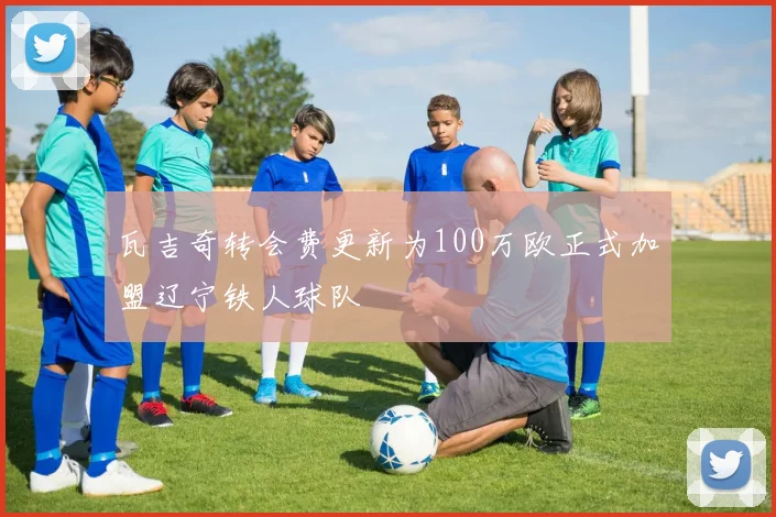 瓦吉奇转会费更新为100万欧正式加盟辽宁铁人球队