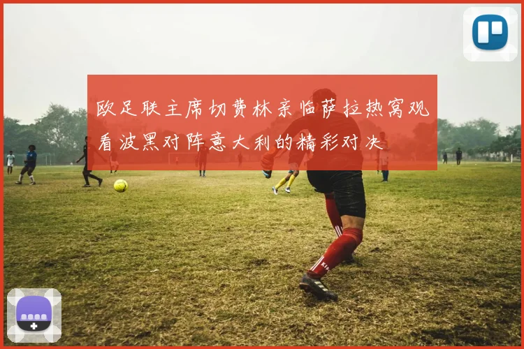 欧足联主席切费林亲临萨拉热窝观看波黑对阵意大利的精彩对决