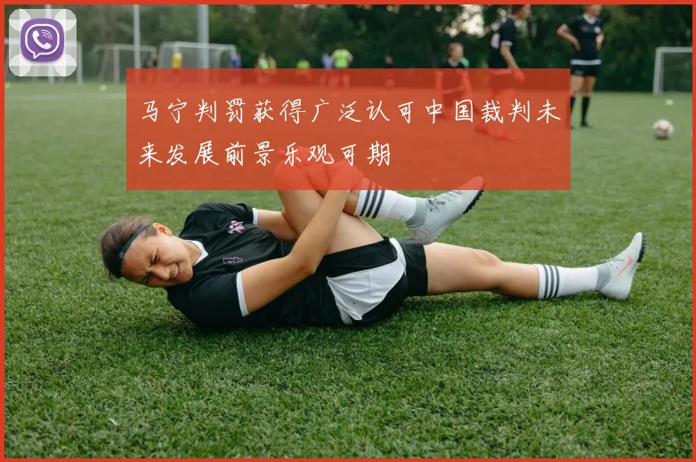马宁判罚获得广泛认可中国裁判未来发展前景乐观可期